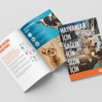 ZoetIs Kurumsal Katalog